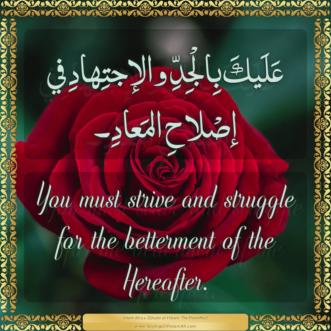 You must strive and struggle for the betterment of the Hereafter.